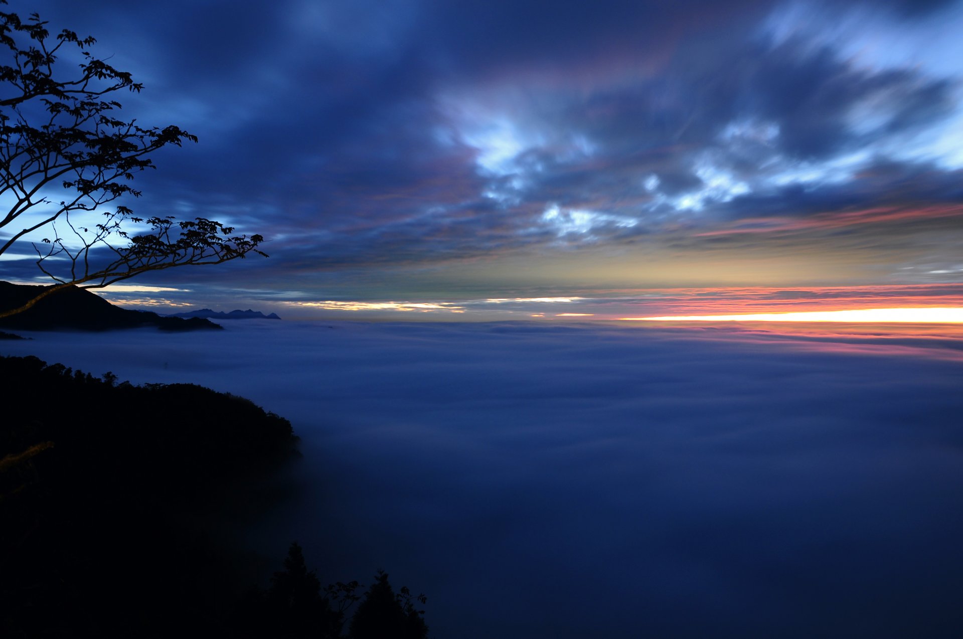 sera tramonto cielo nuvole nebbia foschia alberi rami