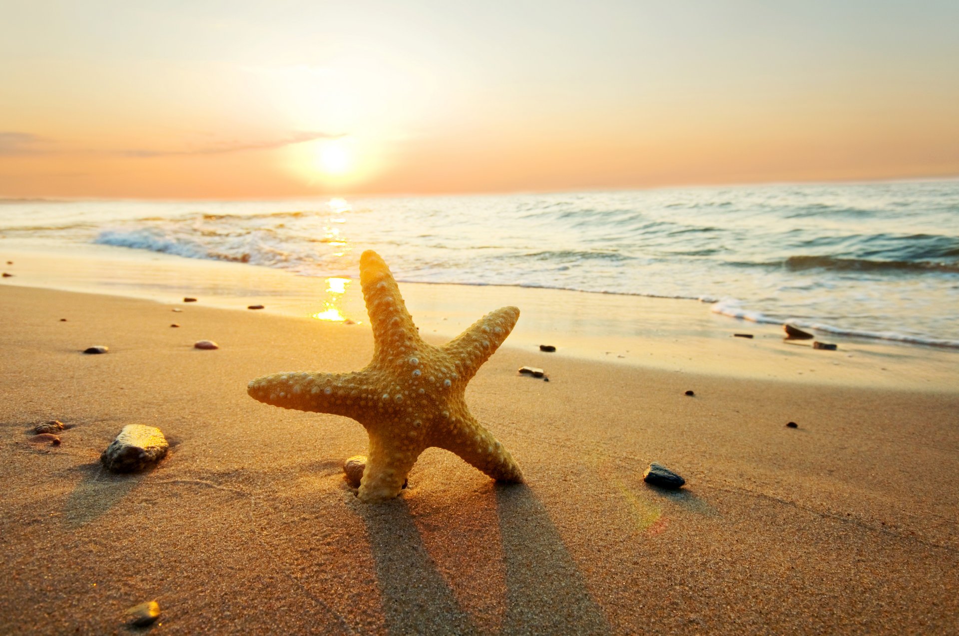 ea ocean sunset beach sun sand starfish nature sky clouds summer