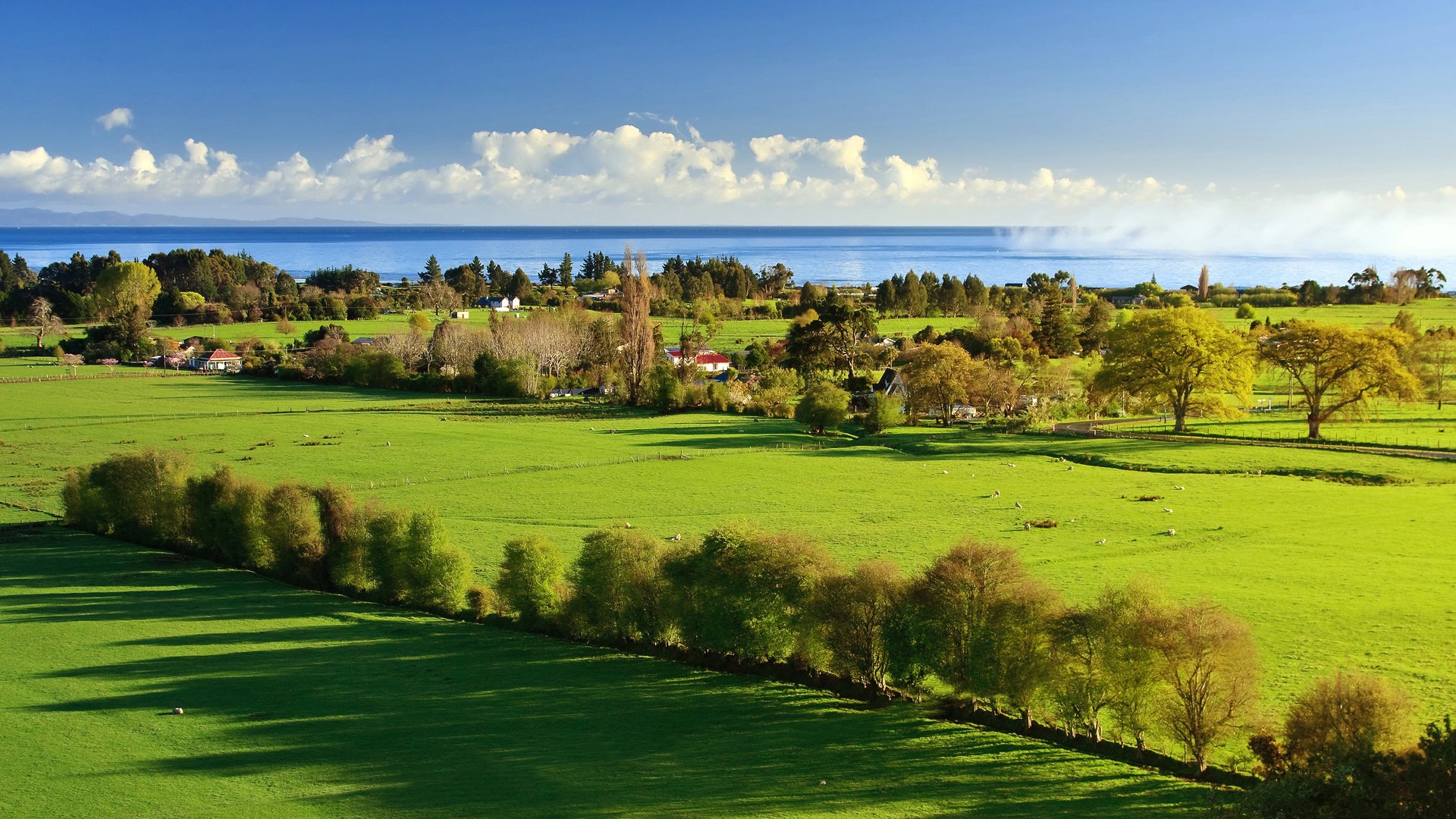 nature paysage verdure arbres herbe ombre lumière maisons ciel nuages mer eau 1920x1080