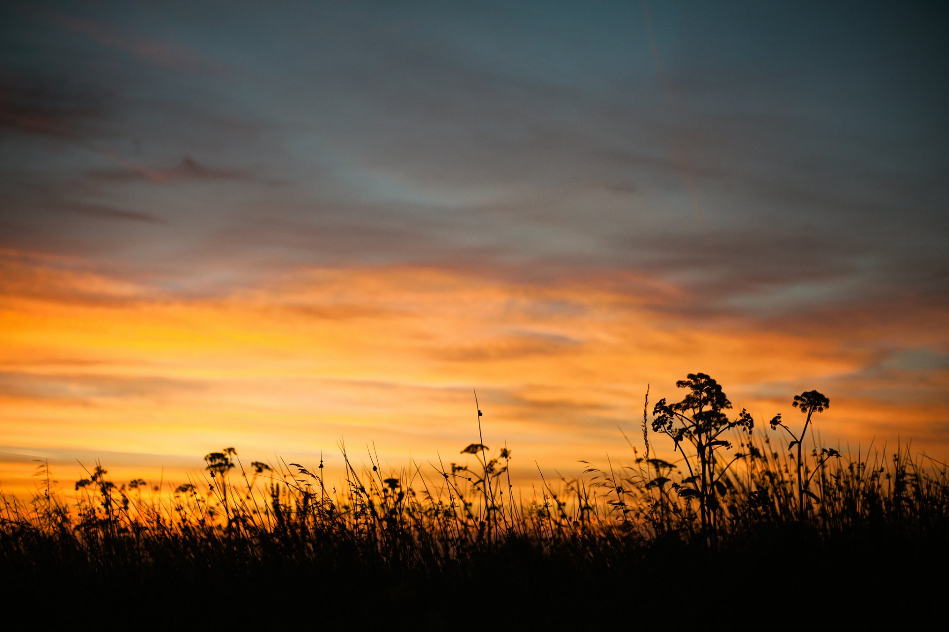 naturaleza verano tarde anochecer puesta del sol cielo hierba