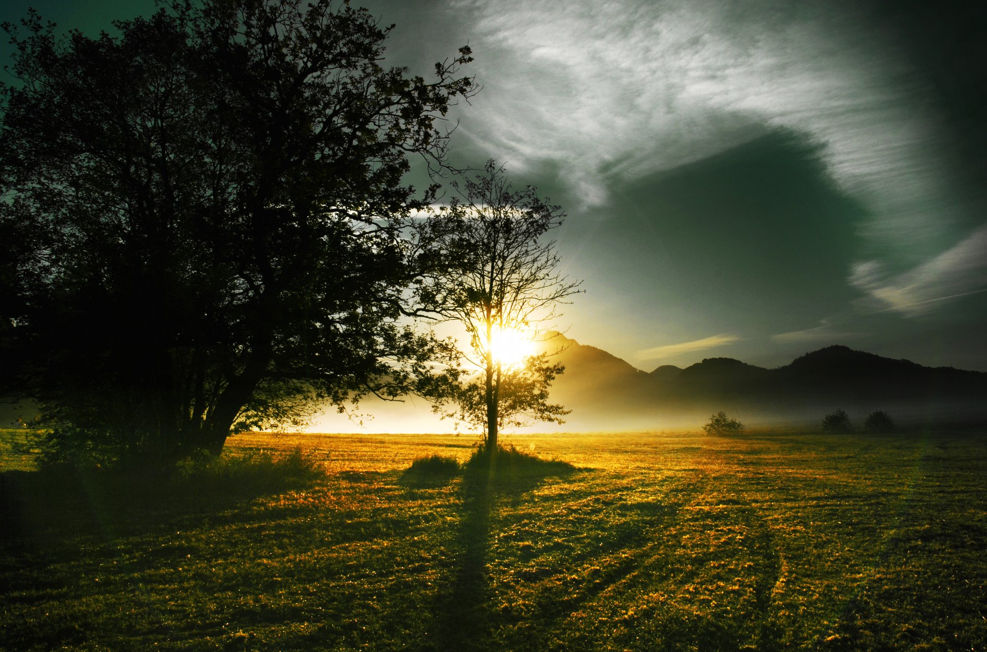 rayos del sol sol árboles colinas niebla mañana enfoque