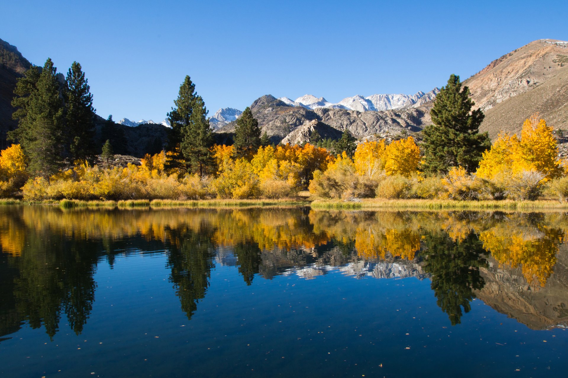 natur see herbst reflexion