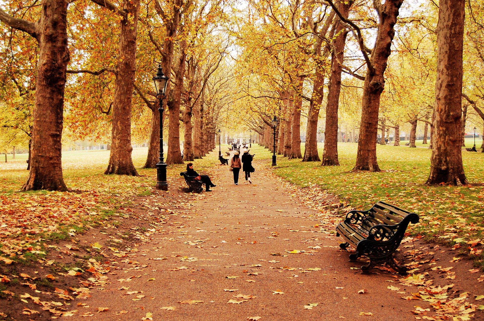 nature landscape autumn of the year tree leaves leaf bench people man children guys girl track path walk