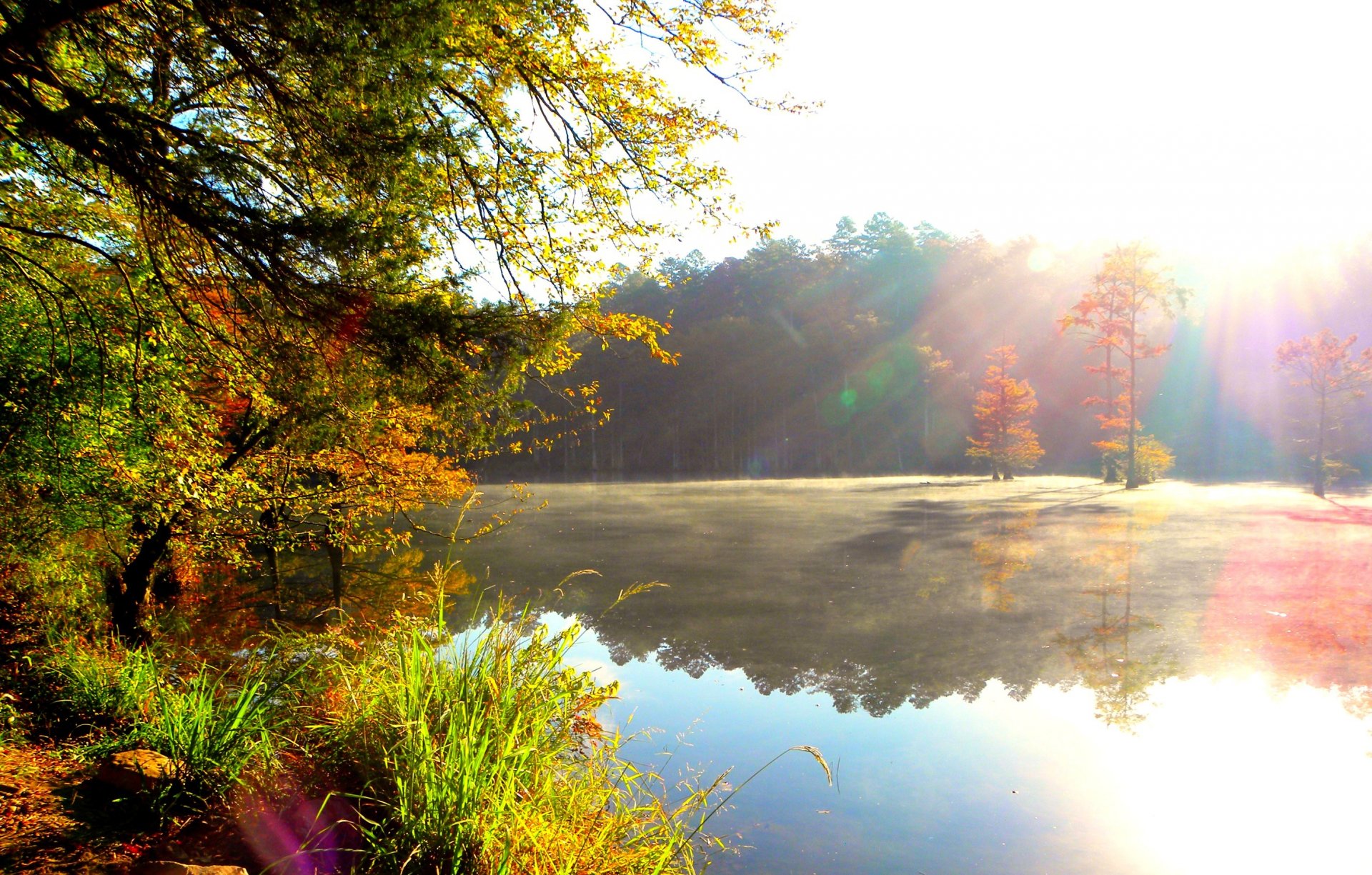 river shore forest haze morning sun rays nature