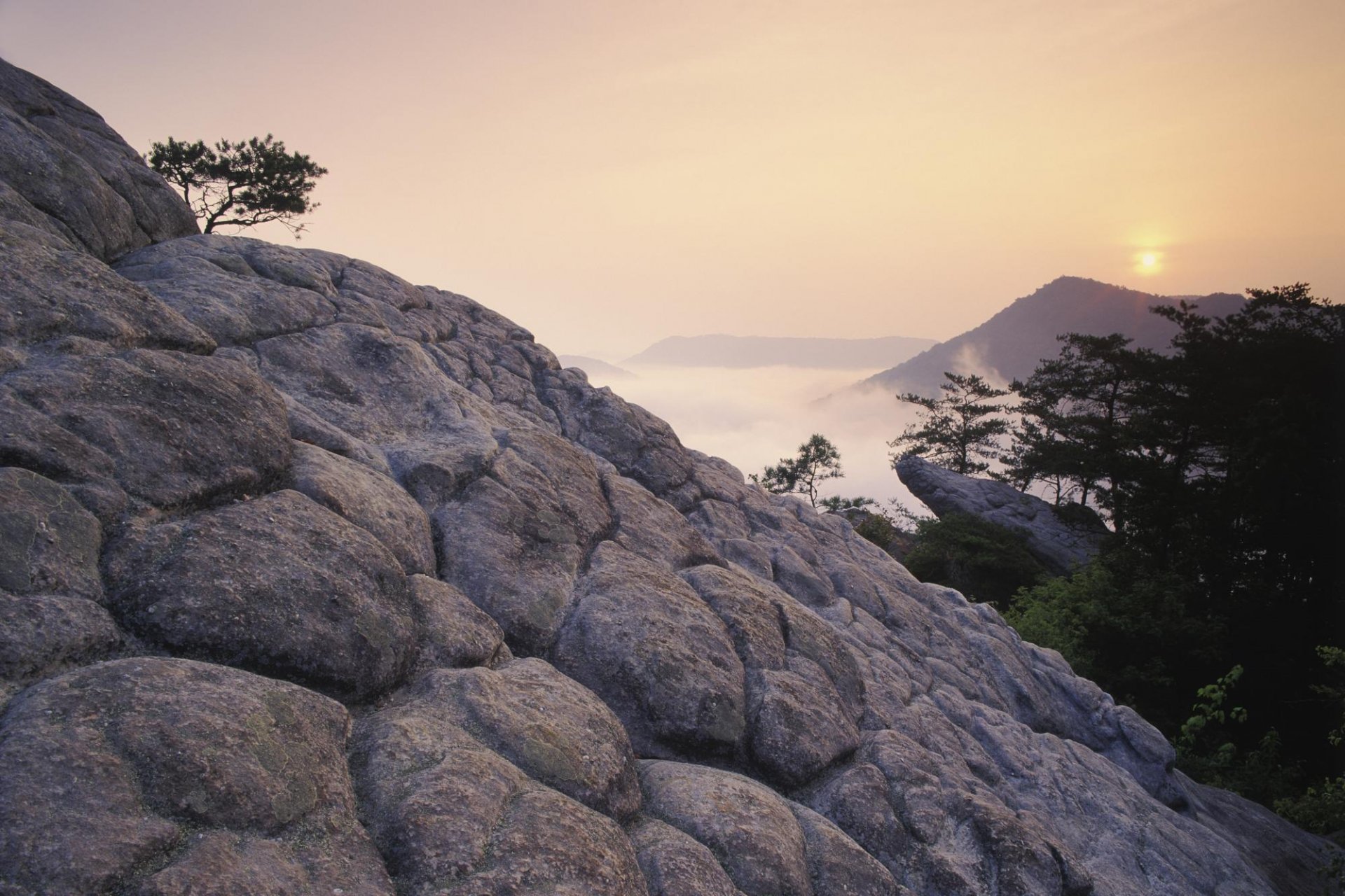 montagne rocce tramonto alberi nebbia altitudine