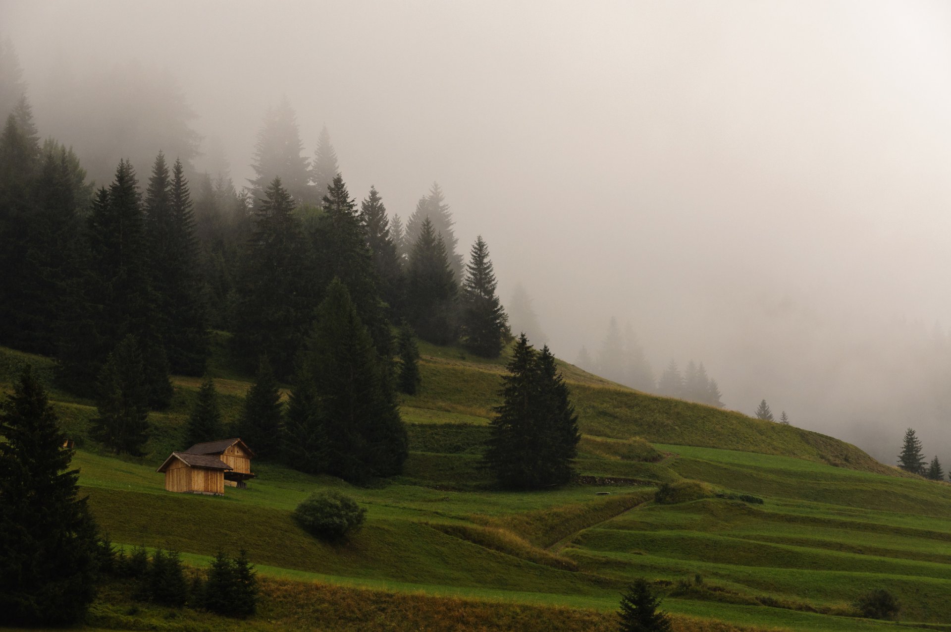 natura mattina nebbia montagne erba foresta case