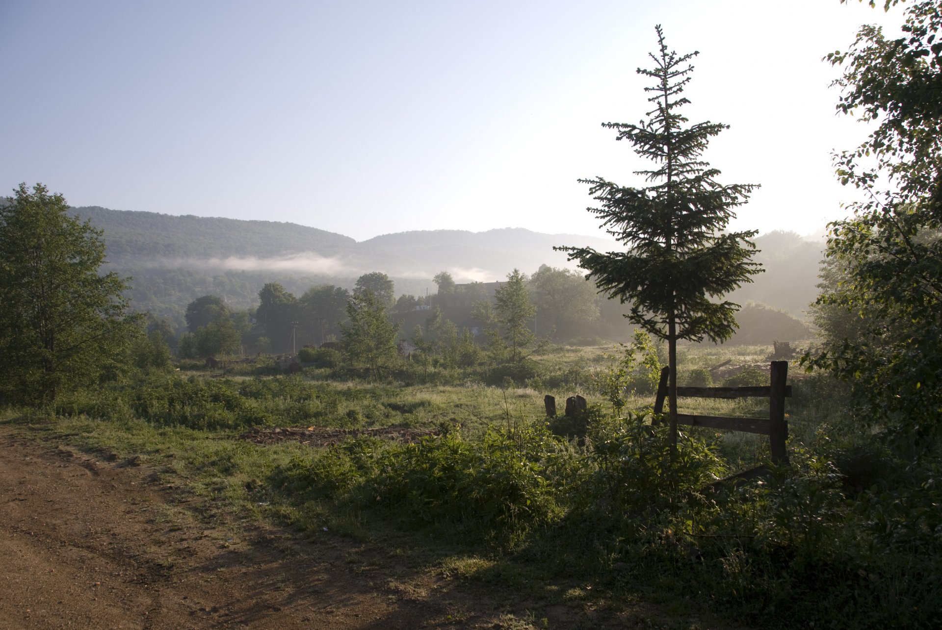 poranek mgła góry drzewa krajobraz natura