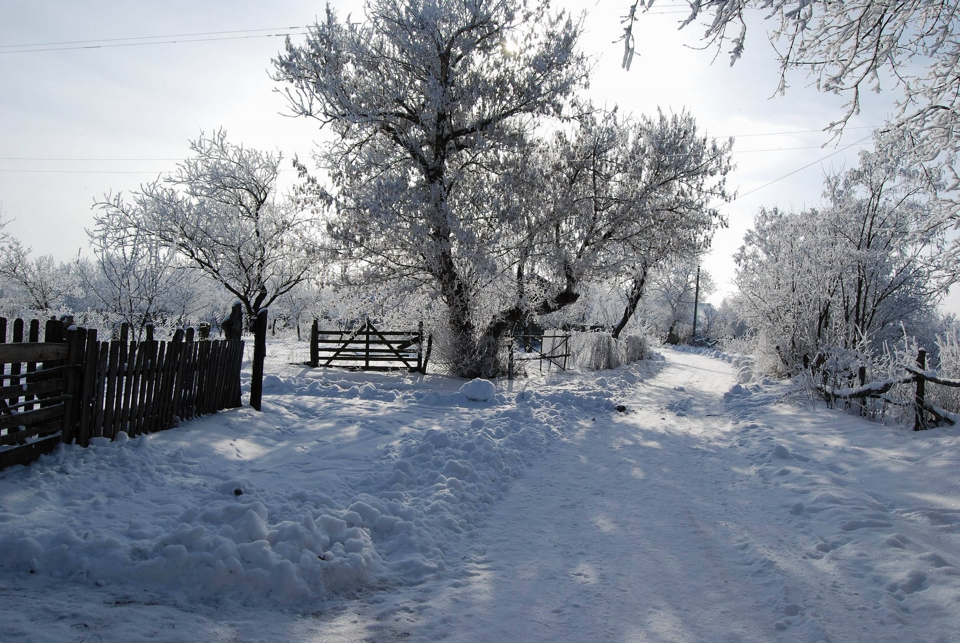 hiver neige arbre soleil ombre route