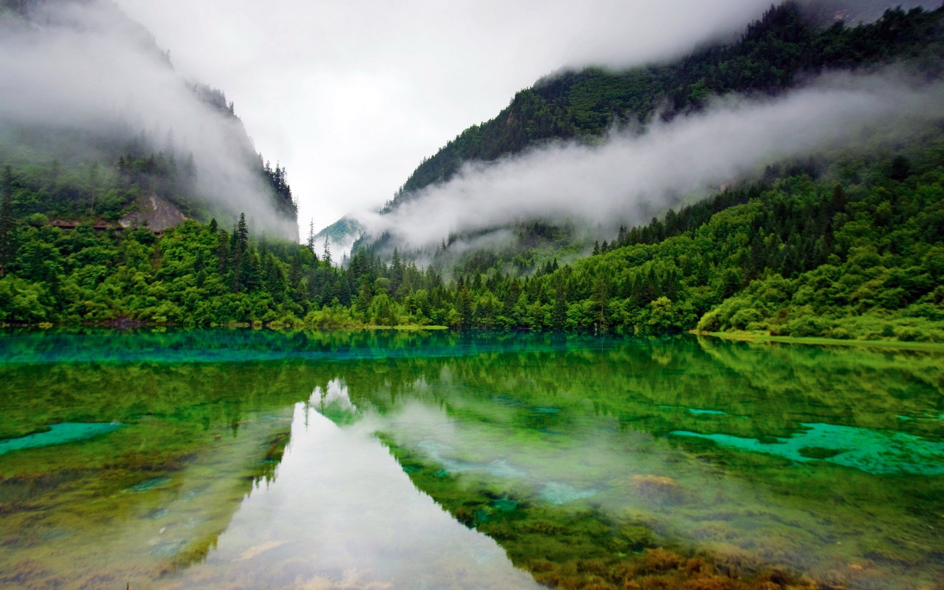 forêt montagnes collines verdure étang lac surface surface miroir réflexion nuages