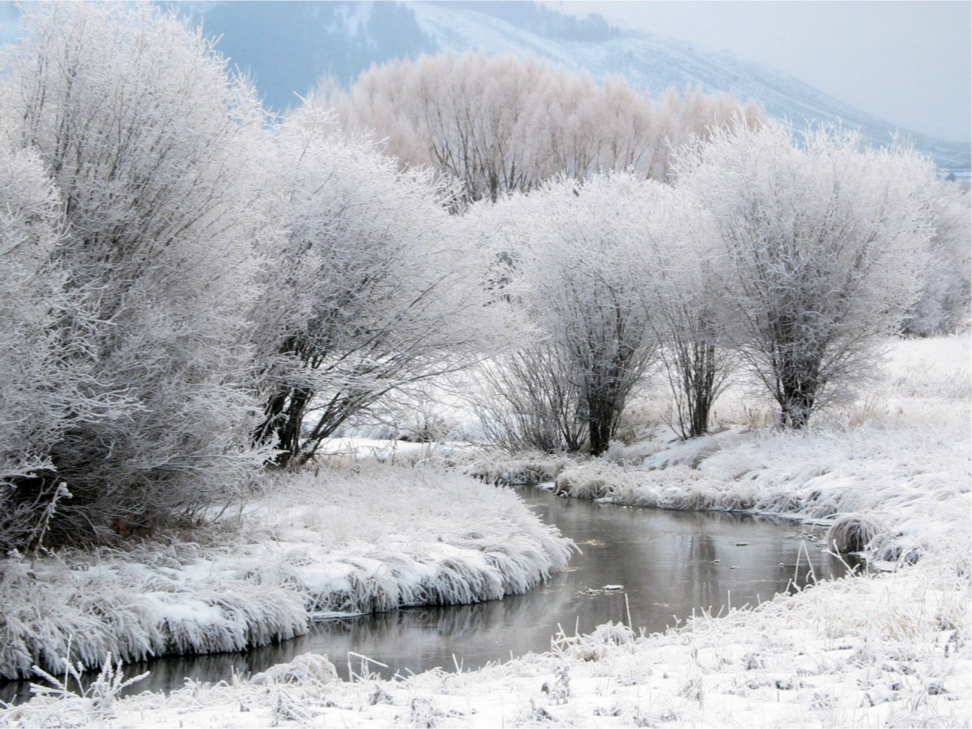 winter schnee frost bäume bach berge in der ferne nebel