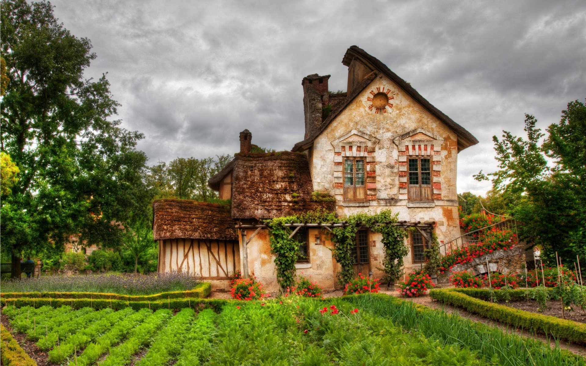 casa giardino fiori