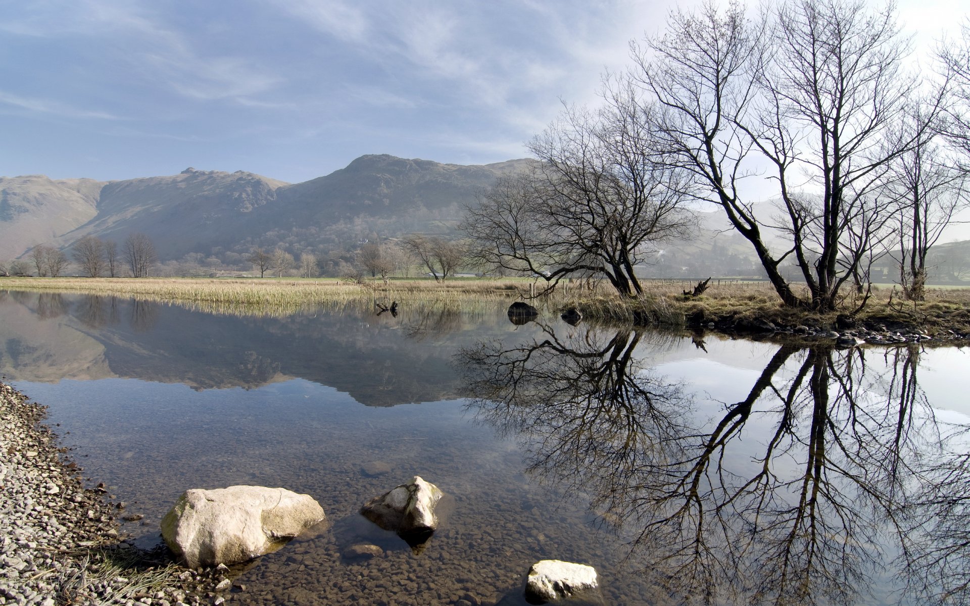 primavera lago natura