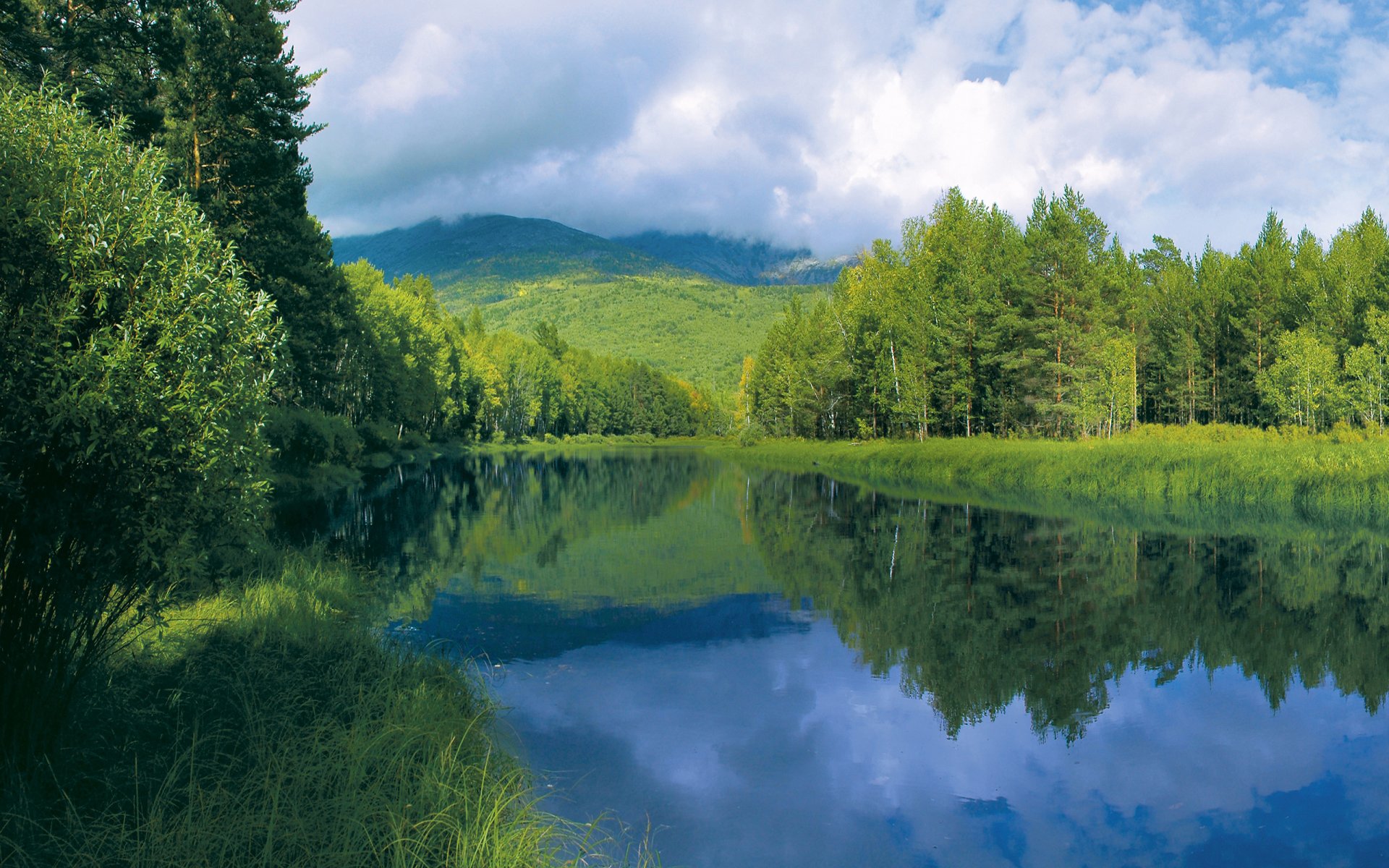 foresta alberi estate riva erba fiume acqua superficie liscia colline cielo nuvole riflessione