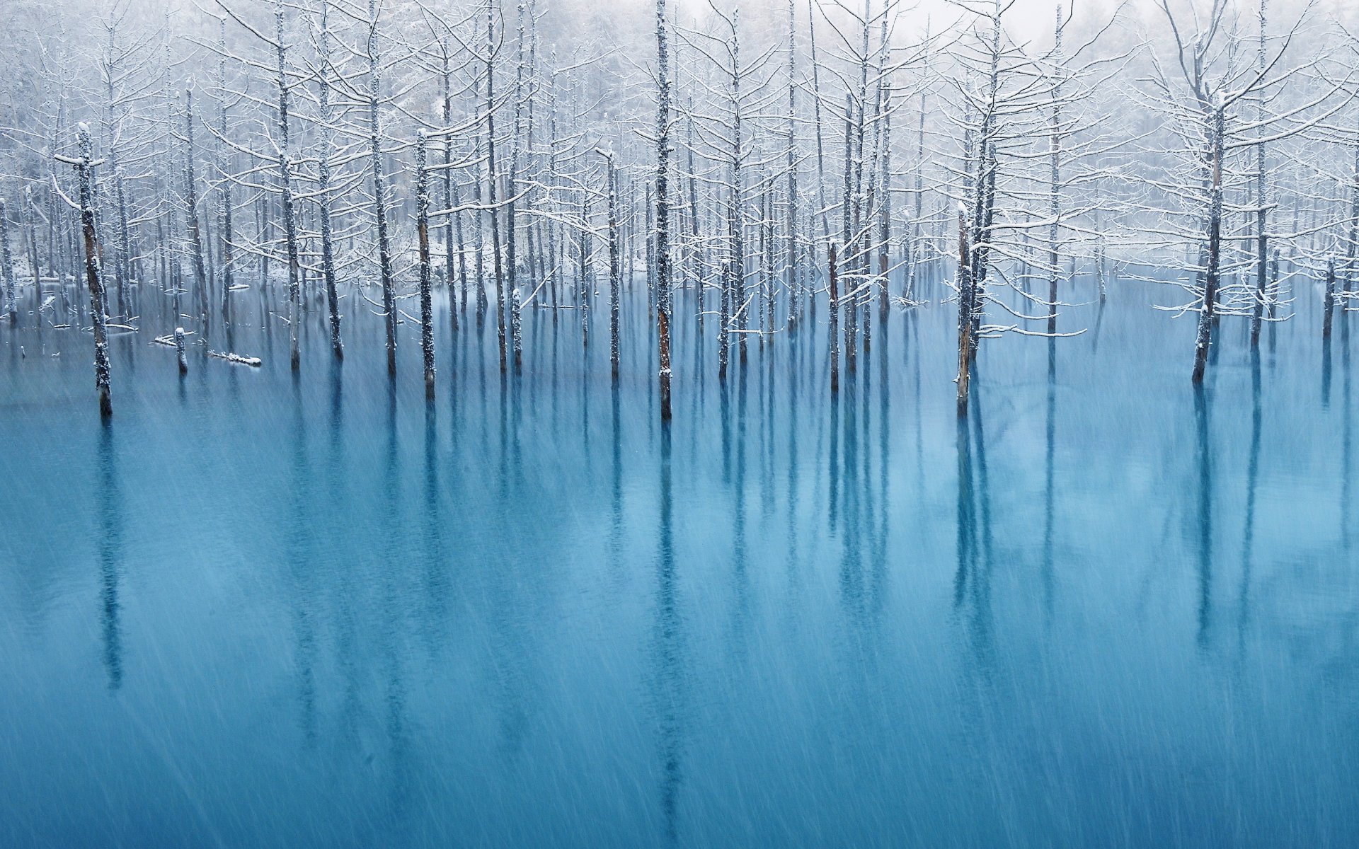 arbre pomme mac rétine eau