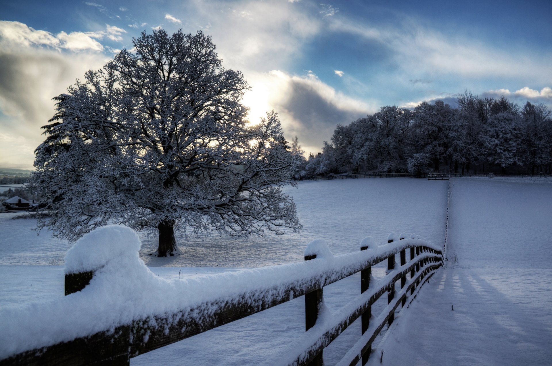 natur winter zaun schnee baum bäume himmel wolken