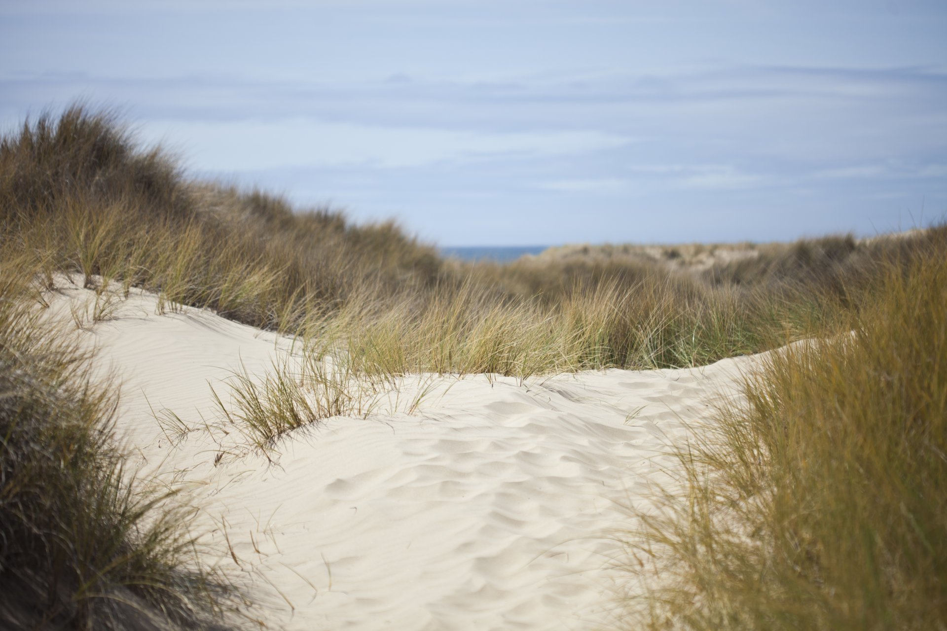 natura dune sabbia erba mare cielo