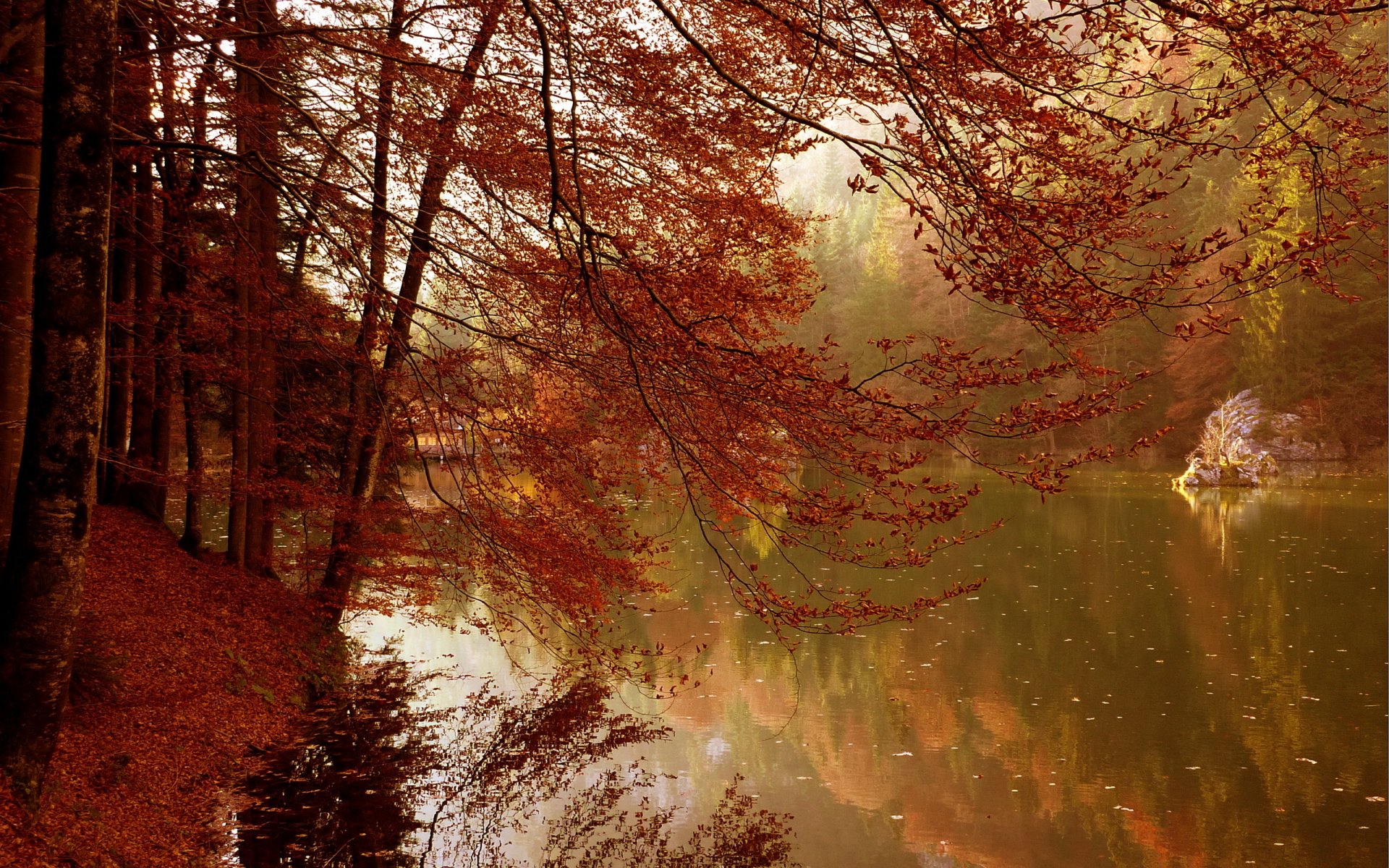 lac automne arbres