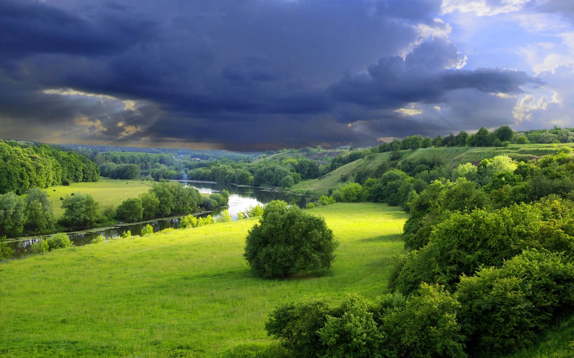 nature rivière été verdure arbres buissons