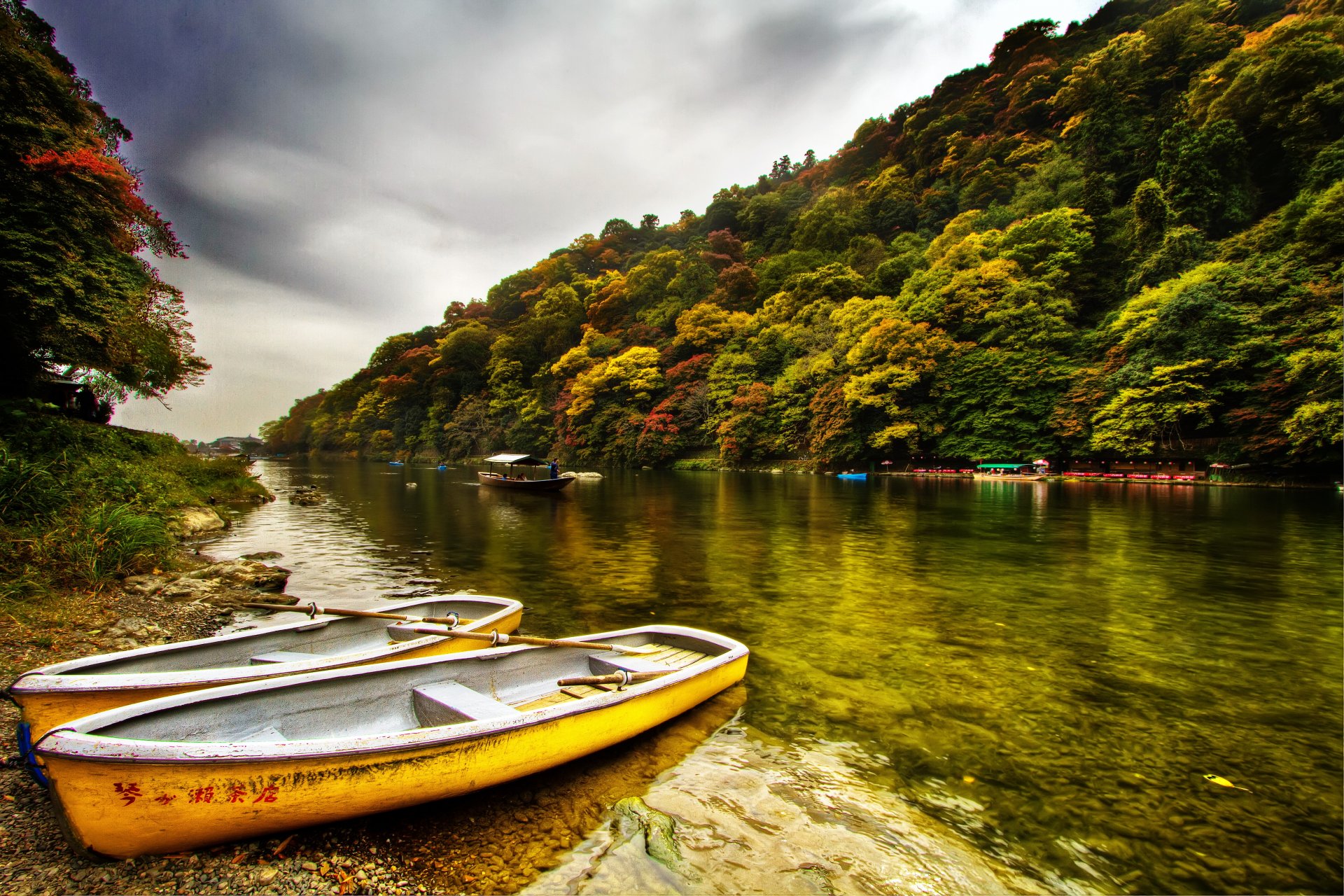 forest tree grey sky river boat two beach