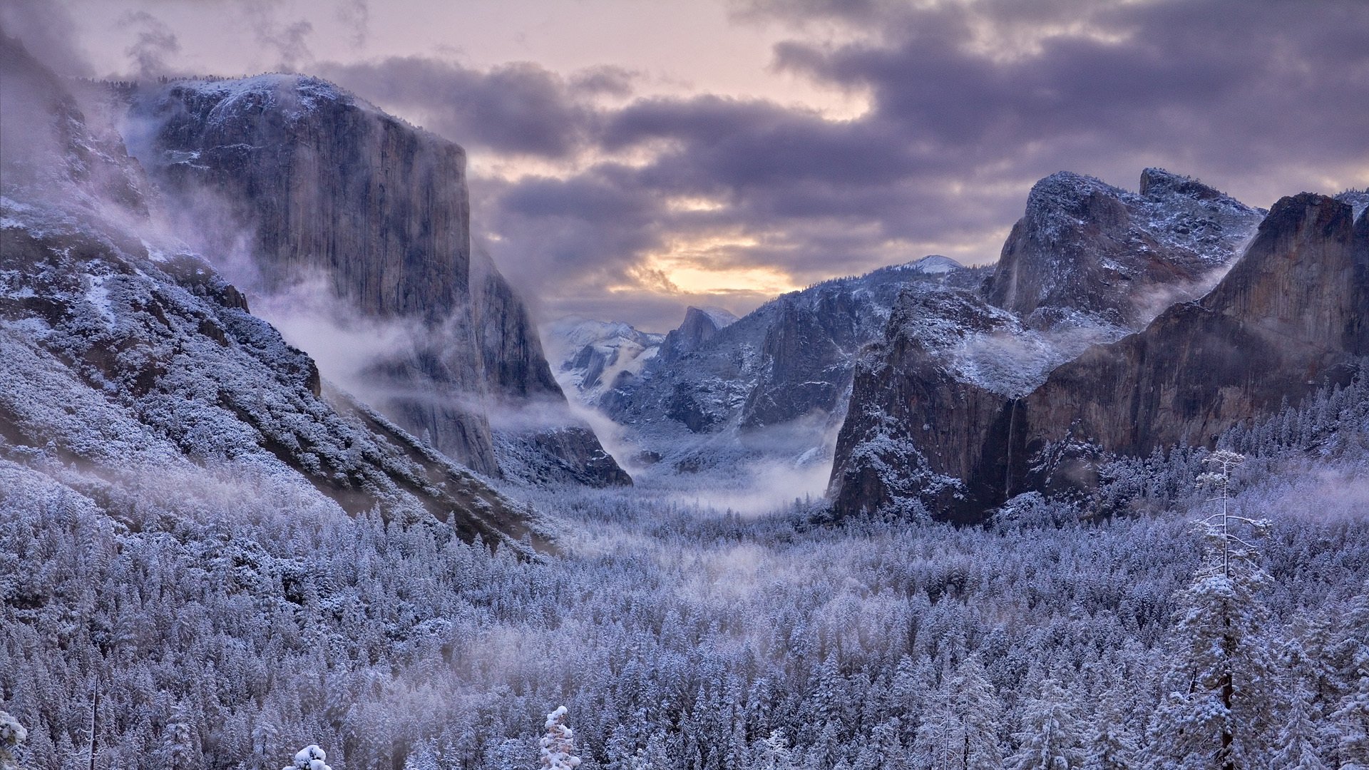 montagne inverno alberi