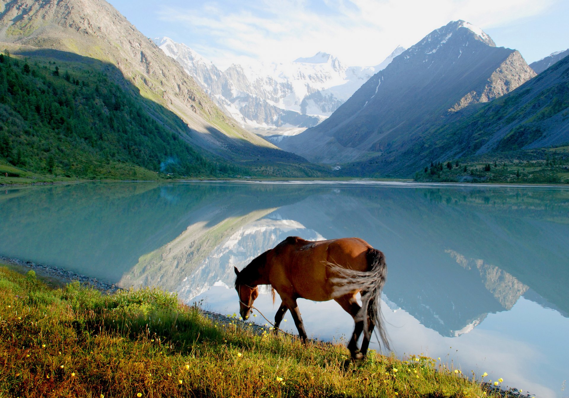 riva cavallo montagne