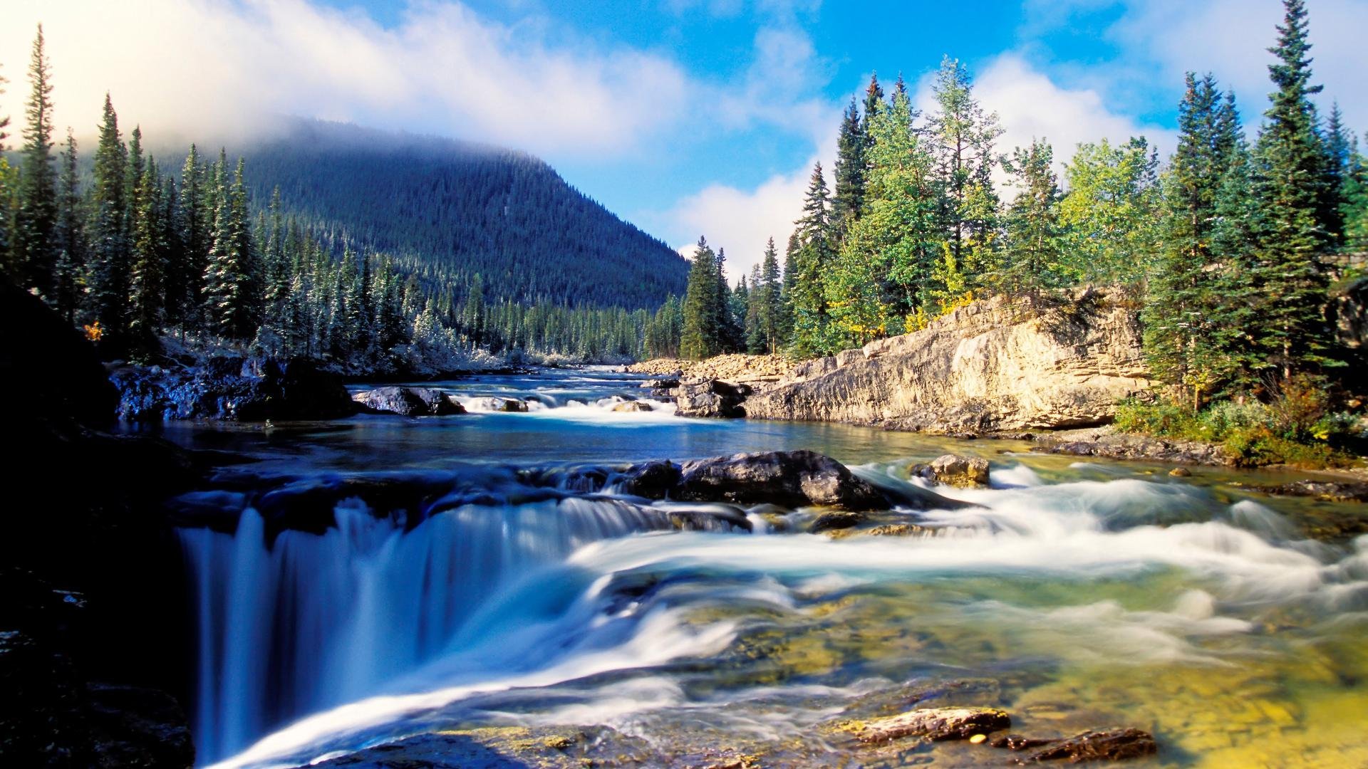 mountain forest thick spruce water river stones waterfall ravine pit beautiful