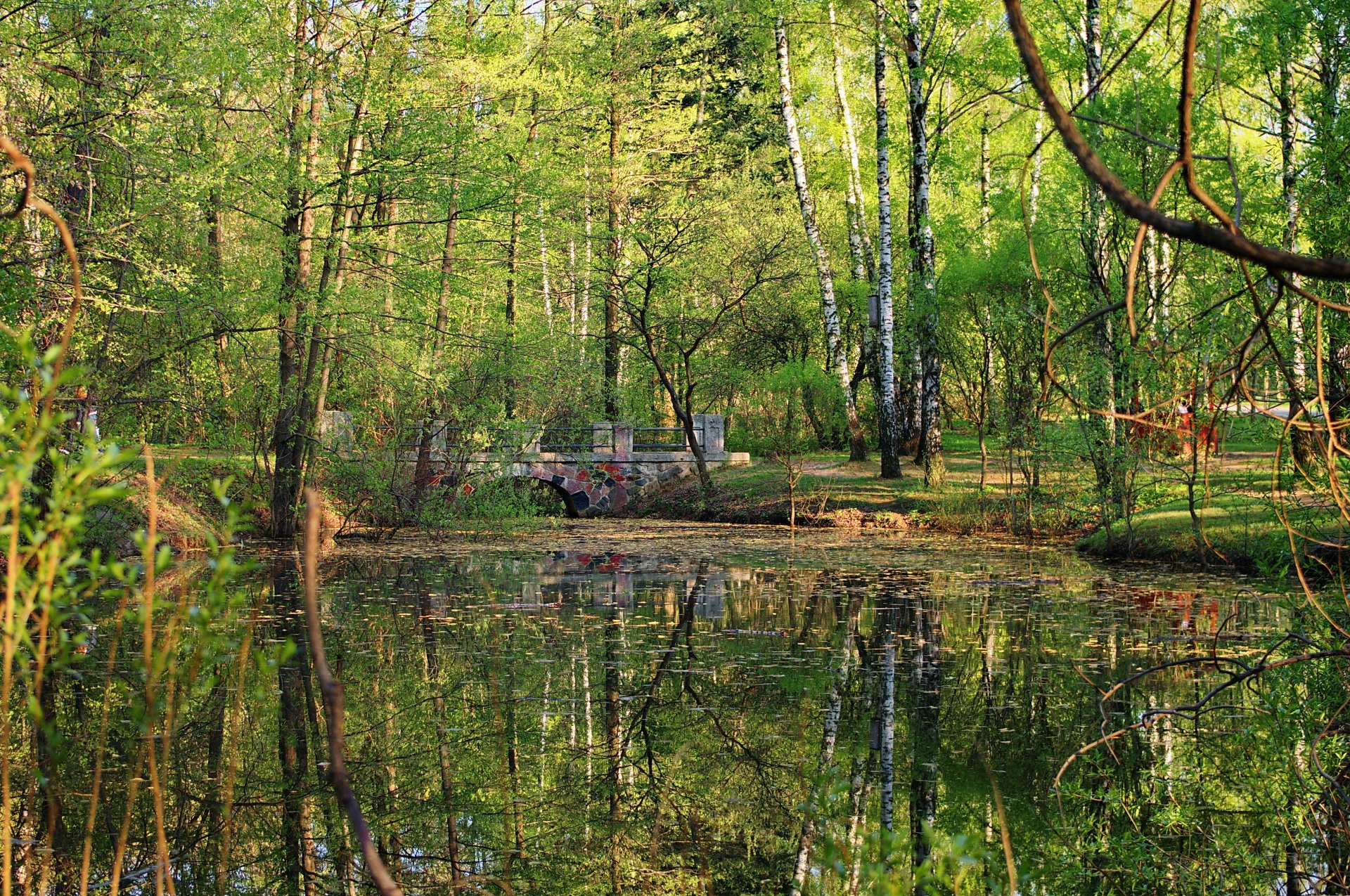 landschaft brücke teich wasser reflexion wald park bäume pflanzen