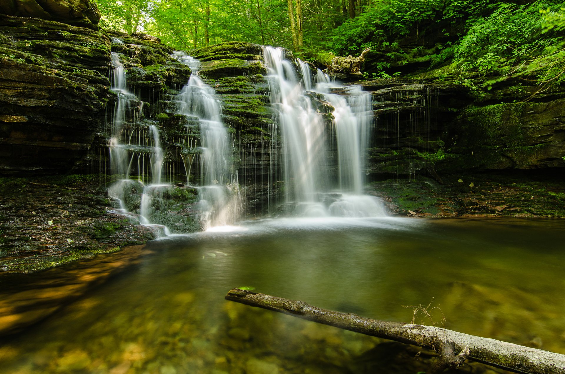 nature forest summer creek stone