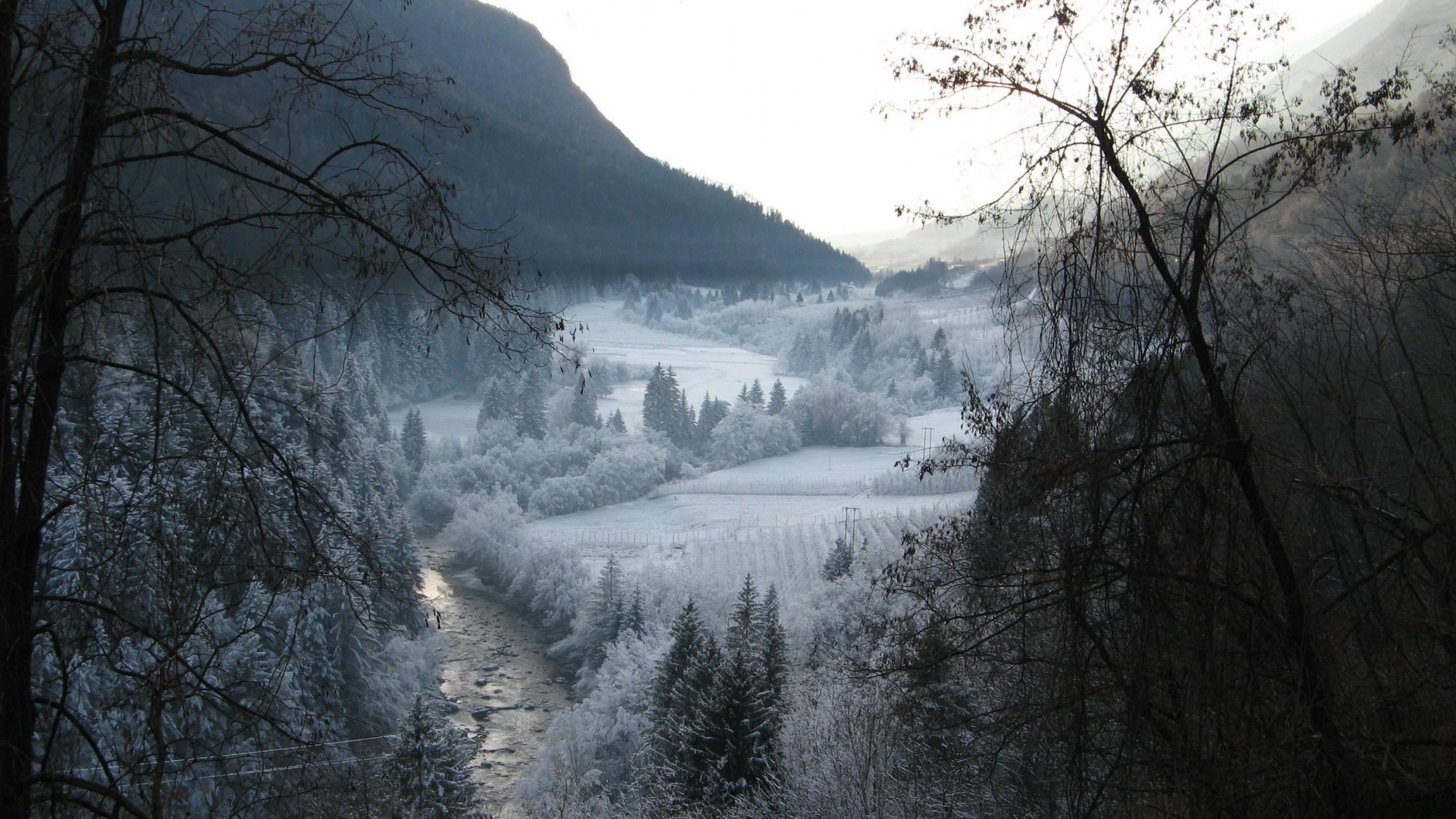 winter snow mountain tree