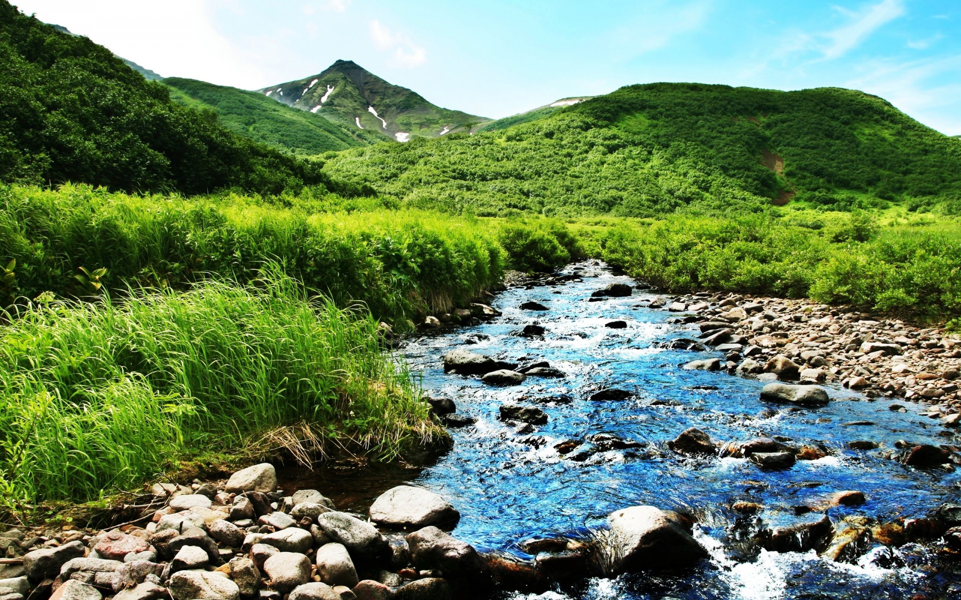 natur berge fluss bach sommer grün