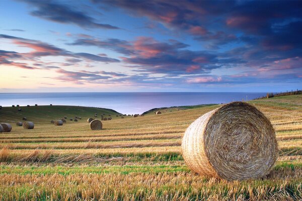 Campo in Italia in estate. Belle nuvole rosa e cielo blu estate in Italia