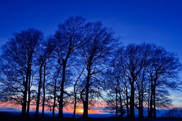 Schönes Foto des Abends auf dem Feld