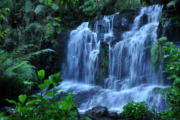 Waterfall among greenery and stones