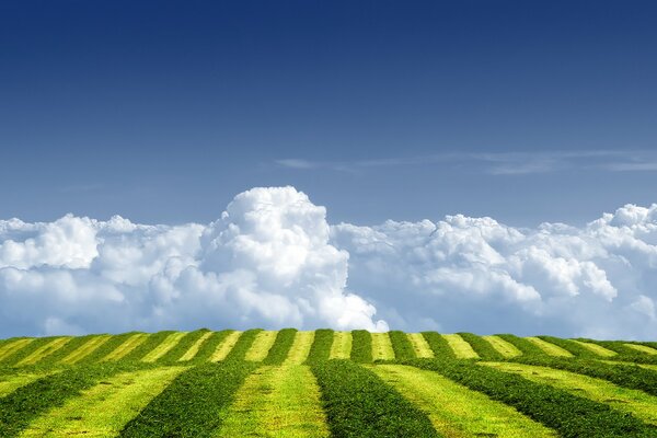 Striped fields against the background of creeping clouds