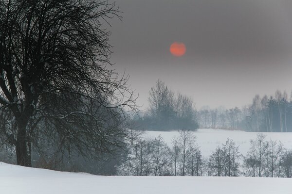 Winter verschneite Natur rote Sonne