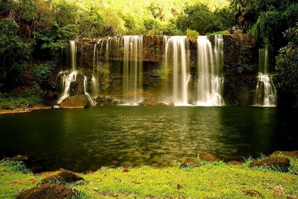 Beautiful waterfall and lake in the forest