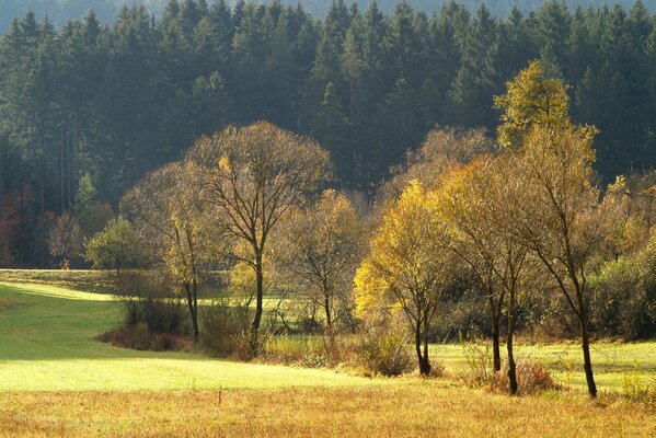 Herbstfarben von Feldern und Wäldern