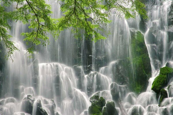 Fond d écran cascade nature