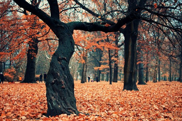 Menschen gehen im Herbstpark spazieren