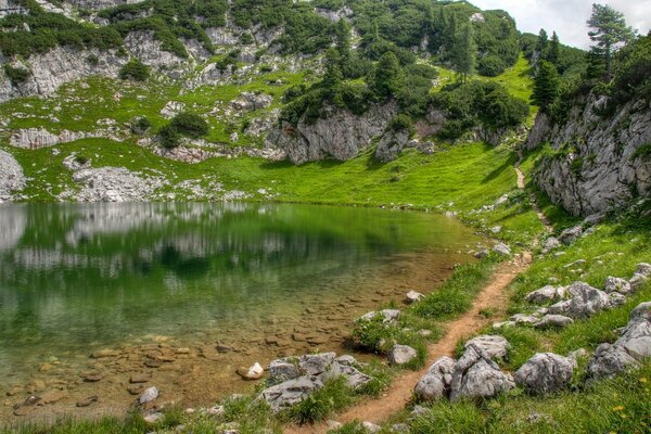 Natura to piękno odbicie trawy, kamienie, tropiki mózg odpoczywa