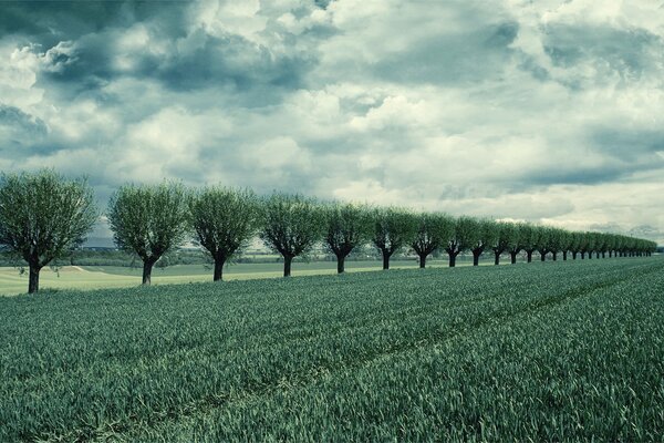 Wolken und Wolken über dem Feld