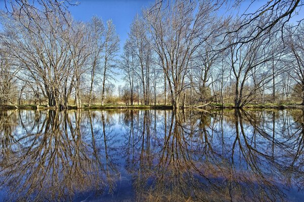 El bosque de reflexión es muy hermoso cuando hay un lago en la parte inferior