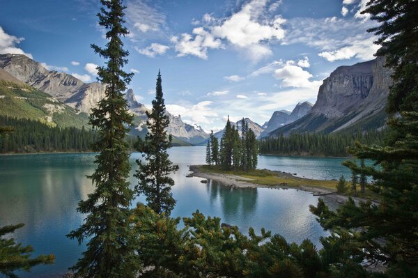 Coniferous trees on the background of the lake, mountains and clouds