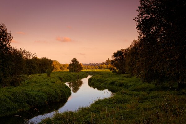 Ruisseau du coucher du soleil entre les berges herbeuses