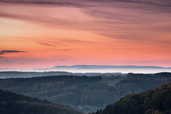 Orange sunset on the background of the forest