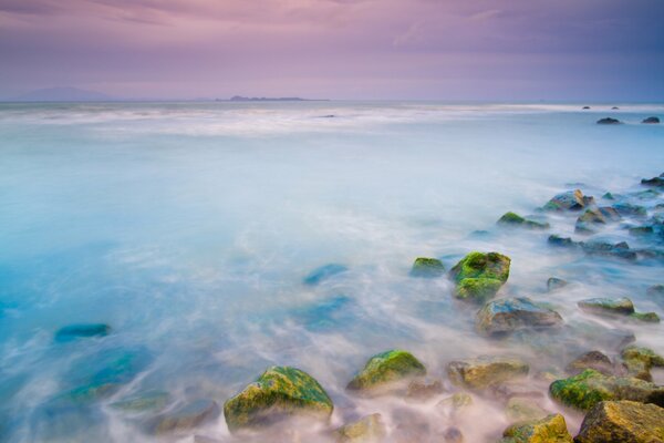 Pierres nues de la mer du matin