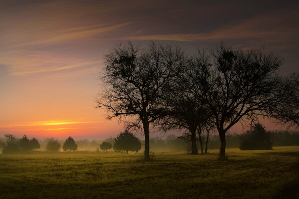 Hermoso amanecer sobre el campo en la niebla
