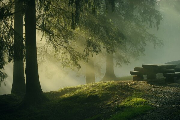 A bench made of stones in a gloomy foggy forest