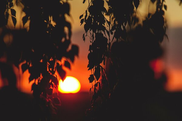 Die Stimmung ist lustiger, wenn man vor Sonnenuntergang spazieren geht und bis zum Rossvet geht