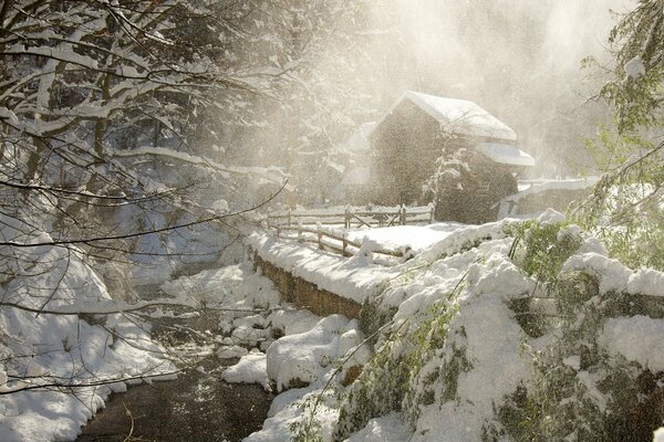 Ein Haus in einem magischen Winterwald